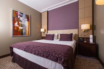 Классический двухместный номер с 1 кроватью в Отеле Kharkiv Palace Hotel